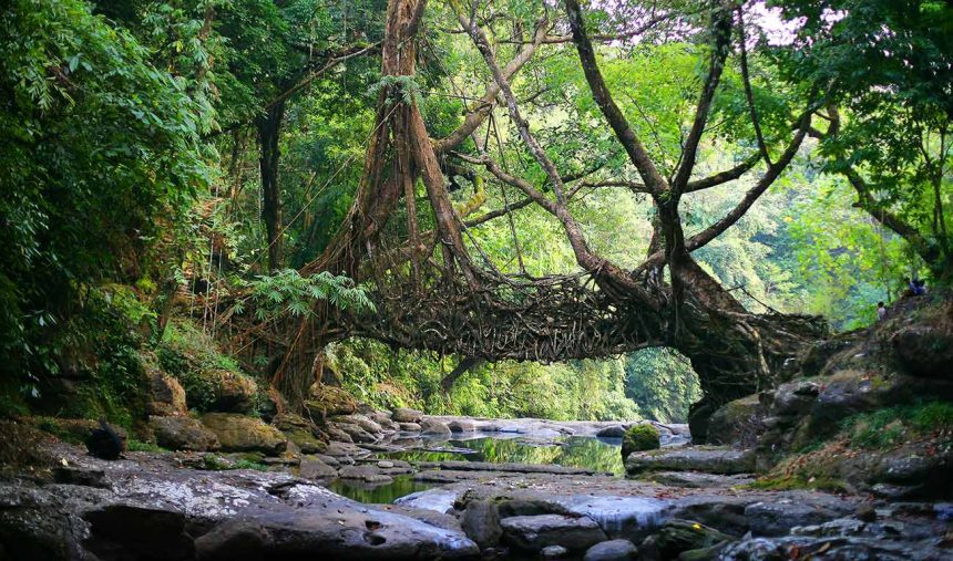 Vida Natural: “A Índia Agreste - O Mundo Perdido